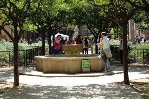 Jardines Rubió i Lluch