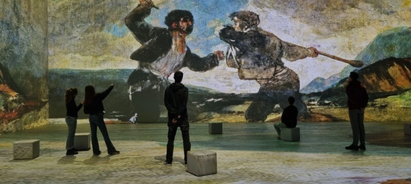 mostra Goya Barcelona