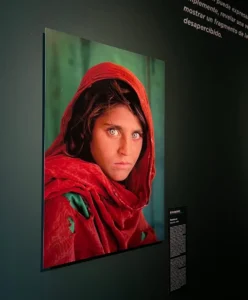 foto nena afganesa Sharbat Gula